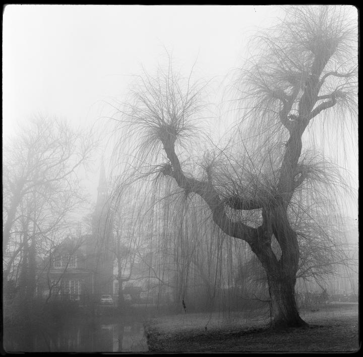 Silent Hill [Rolleiflex 2.8f, Xenotar 80mm, Ilford FP4]