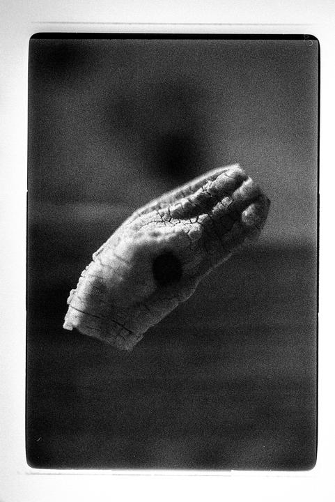 A black and white close-up shows a hand-shaped piece of wood with cracked texture.