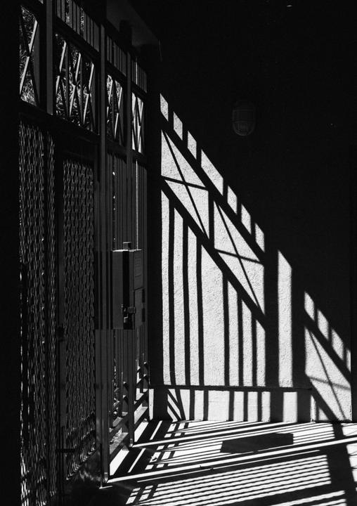 Sunlight casts parallel shadows from a metal gate onto a textured wall and ground.