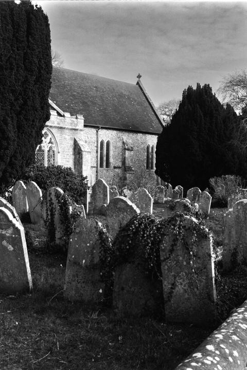 Bosham (Fomapan 400 // Fujica GW690)