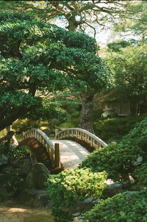 Fuji Greens | Kyoto