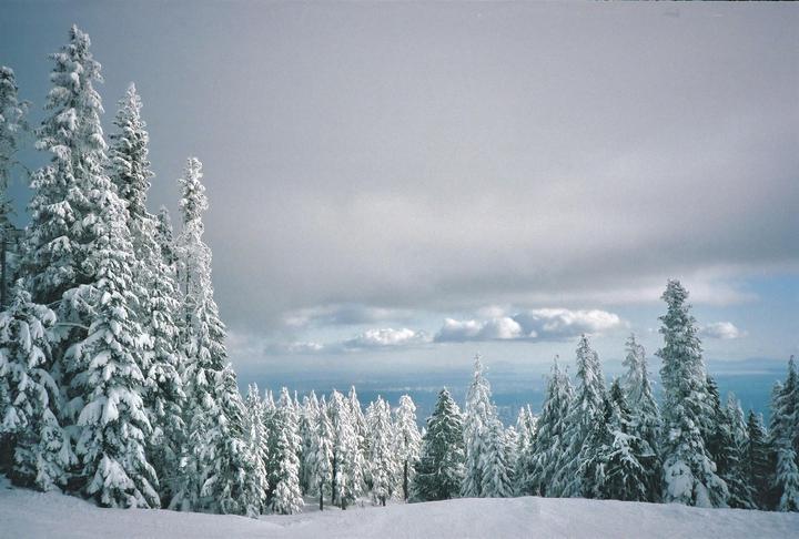 snow resort | olympus xa2 & portra 400