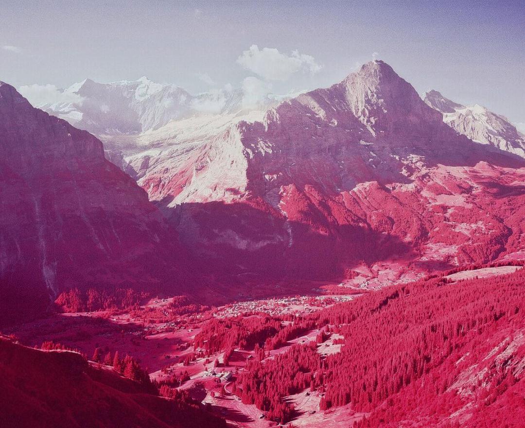 [Mamiya7II 65mm, Aerochrome], shot on mamiya 7ii with kodak aerochrome