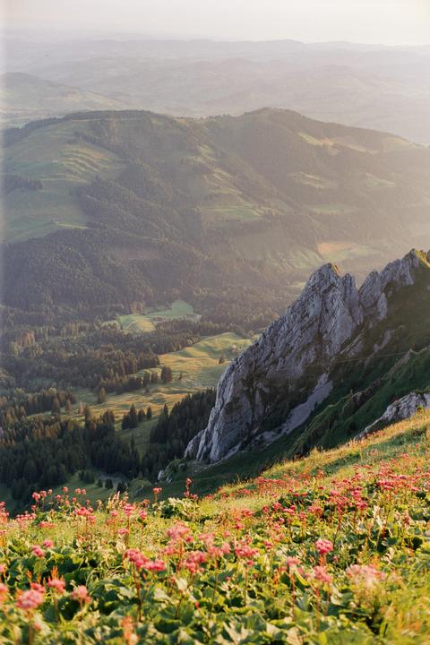 In the Swiss Alps (Leica M4-2, 50mm Summicron, Silbersalz 250D)
