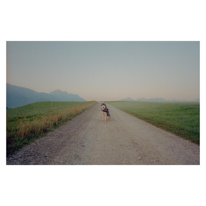 Morning Scenes| Leica MP + Elmarit 28 | Portra 400
