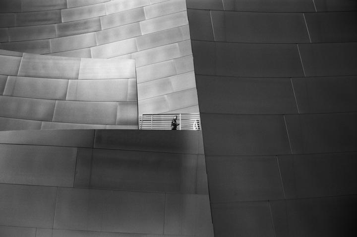 walking around disney hall a few weeks ago, hexar AF + fuji acros 100