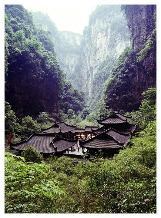 Wulong [EOS 5 | Tamron 24-70 f2.8 | Color Plus]