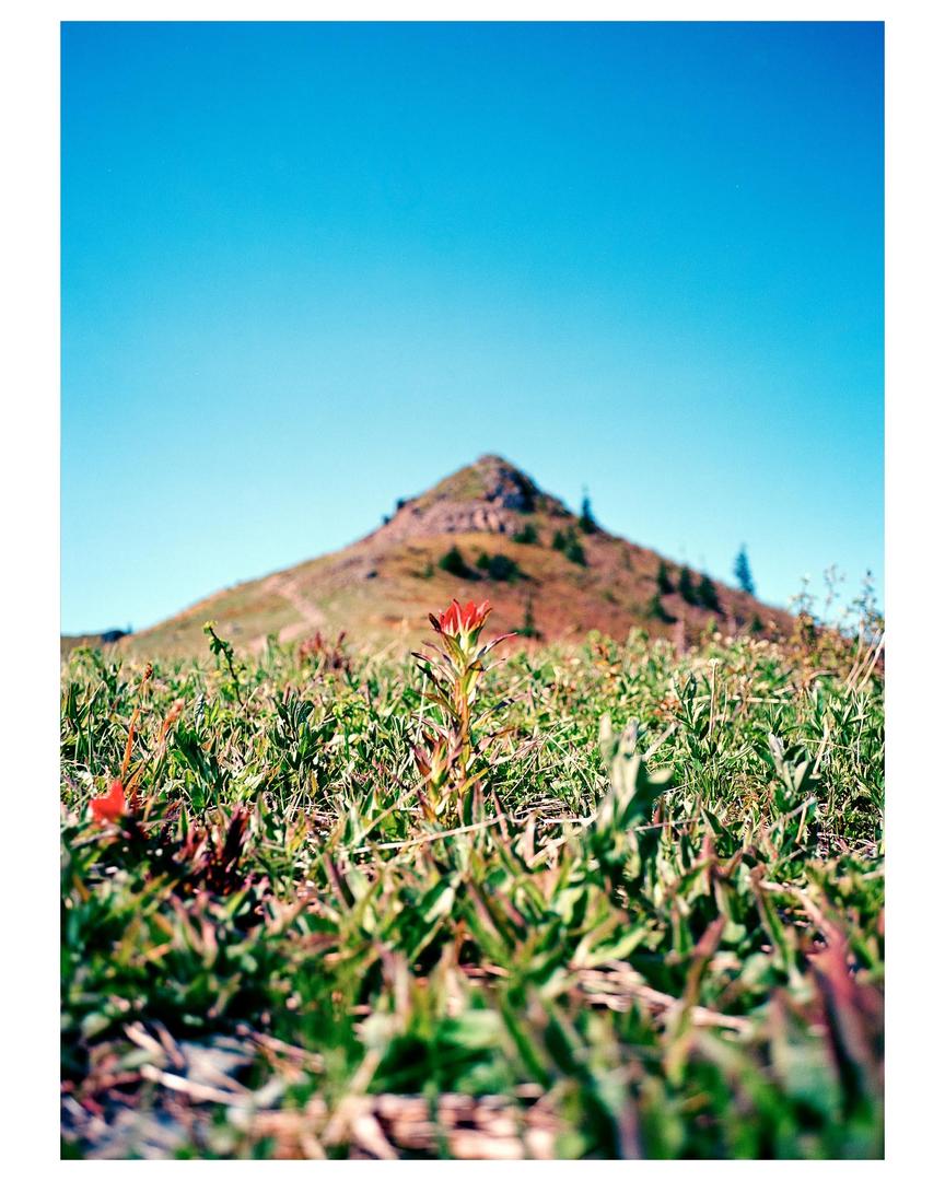 Top of the mountain. Fuji GS645W | Ektar 100, shot on fujifilm gs645w with kodak ektar 100