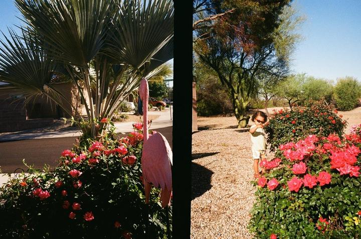 Some recent half frame pairings - Olympus Pen EE3 - my new favorite camera