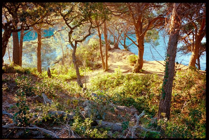 Costa Brava, Spain [Voigtländer Bessa R4A, Voigtländer Color-Skopar 21mm f/4 and 35mm f/2.5, Kodak Portra 400]