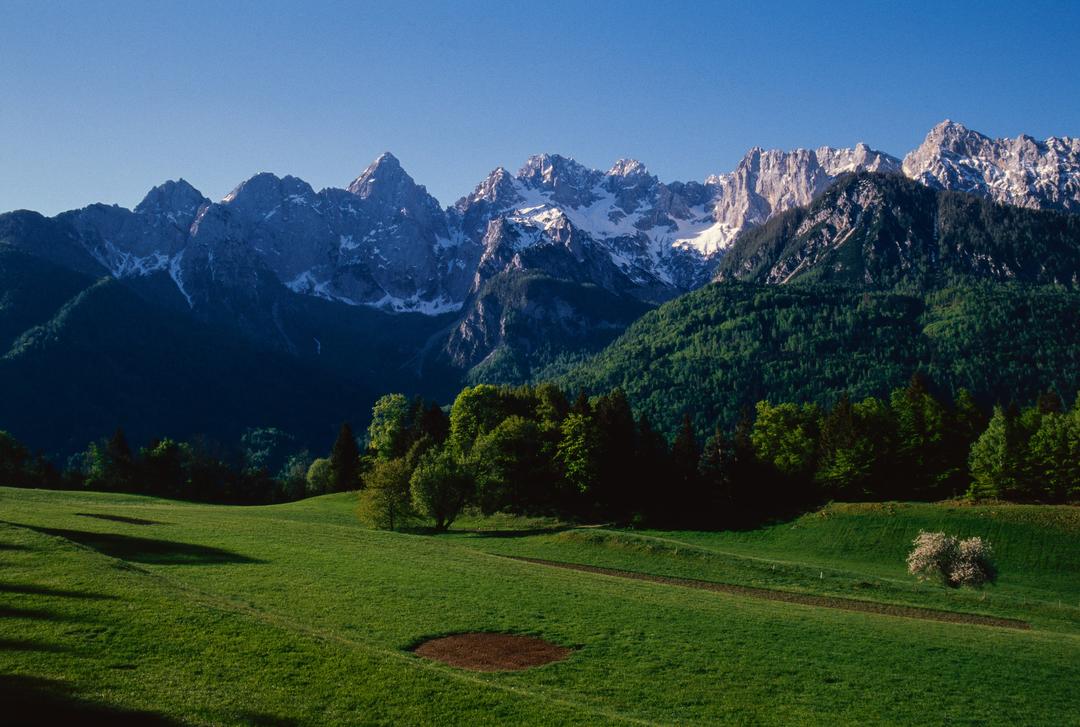 A green meadow with trees and a dirt path leads to a forest at the base of snow-capped mountains under a clear sky.