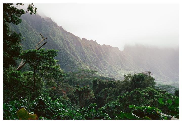 My recent trip to Hawaii on Ektar. [F100, 50mm 1.8, Ektar 100]