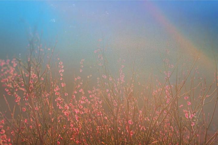 stranger, everything you love is from a different world / Nikon fm2, 28mm, various film stock