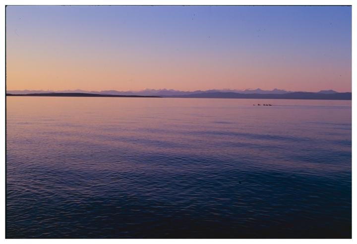 bc blue hour | pentax program plus, expired velvia 100