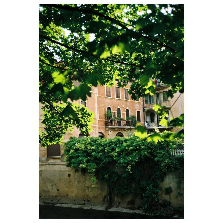 Recently took a trip to Vicenza Italy and loved it! Let me know which one you like the most! [Olympus 35RC, Kodak Gold 200]