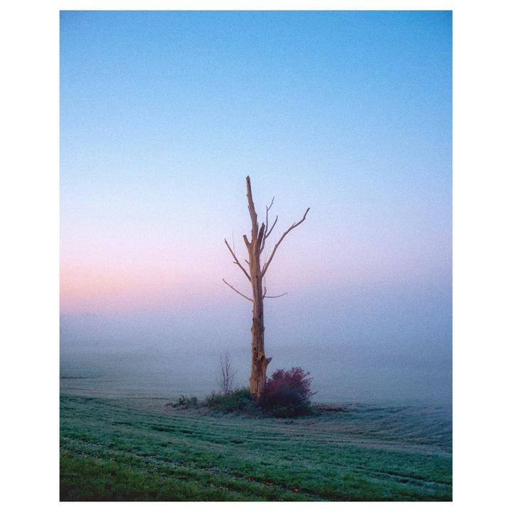 Countryside Mix | Leica M6 + Elmarit 28 | Portra 400