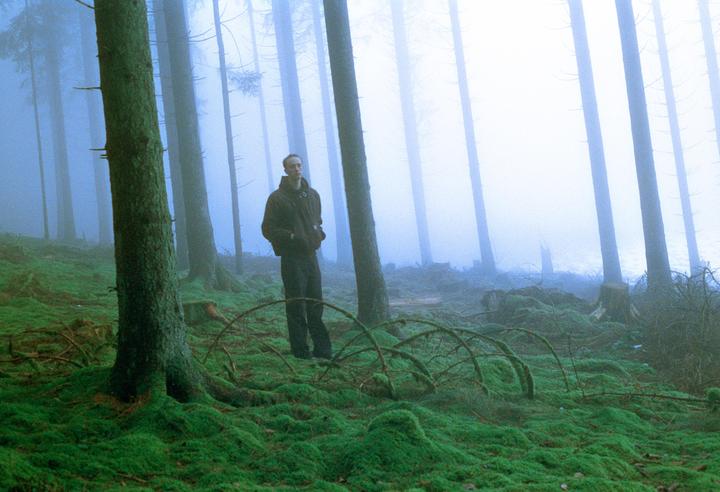 Into the forest | Cinestill 800T | Canon A-1