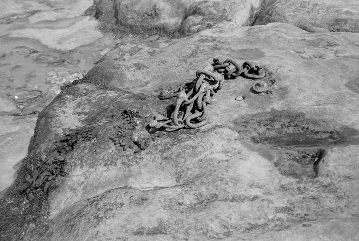 A rusty chain lies on a rock with some seaweed next to it.