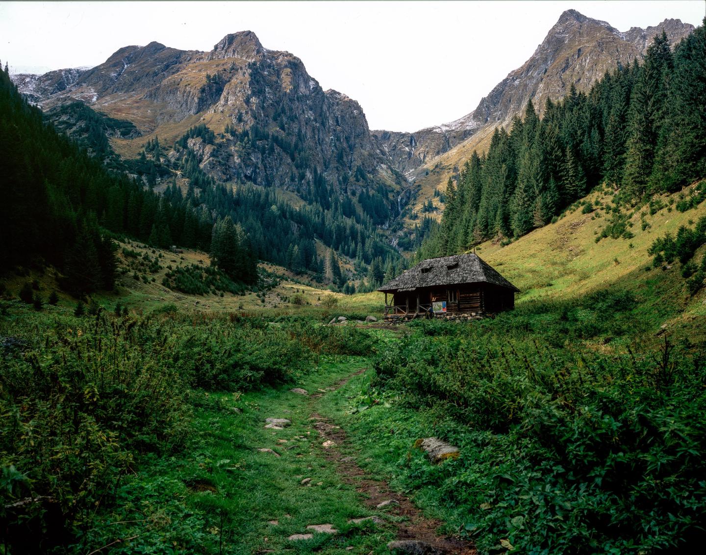 image 35851 by I-am-Mihnea