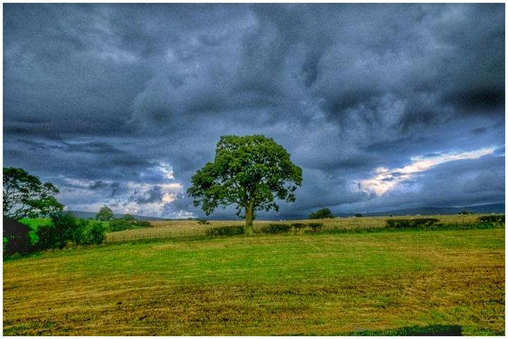 Storm is coming. The Dales of the UK 1984 OC. [Kodachrome 25. Olympus OM-1m, 50mm] OC