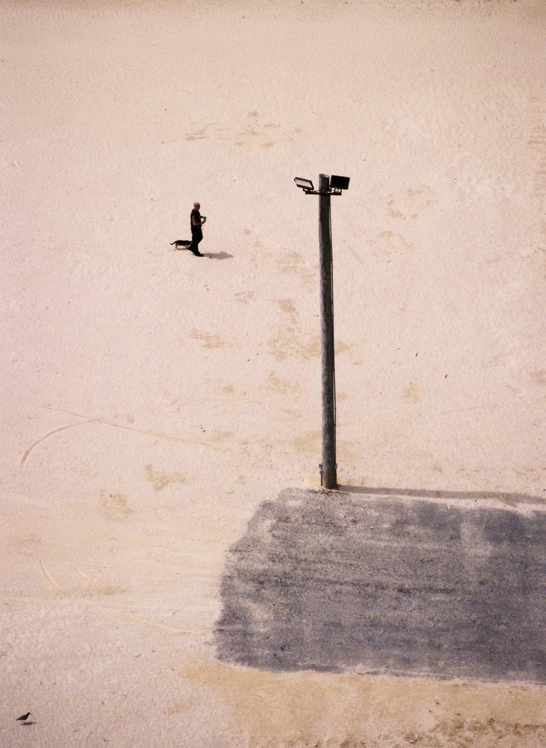 Looks like a drawing: Olympus Stylus Zoom, Kodak Pro Image 100, shot on OLYMPUS STYLUS ZOOM