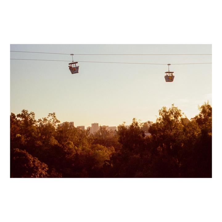 Golden hour at the zoo | Leica MP