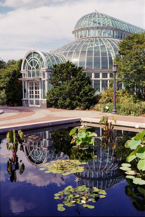 Brooklyn Botanic Garden [Fujica GW690, 90mm f/3.5, Kodak Gold 200]