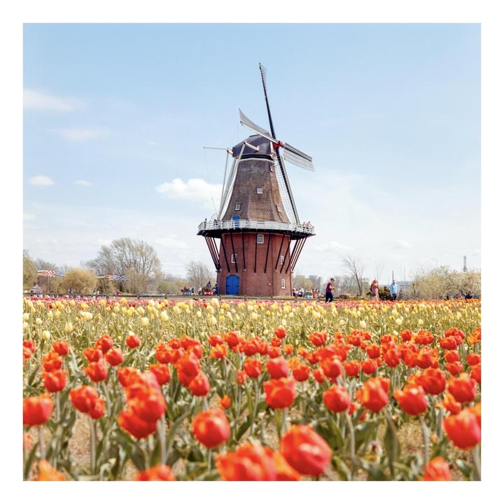 Hasselblad 500c; 80mm Zeiss Planar; 50mm Zeiss Distagon; Portra 160