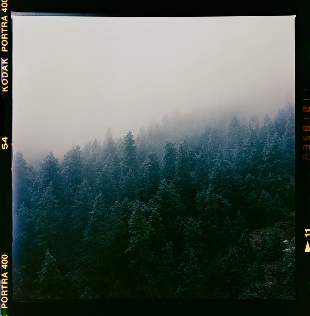 Into the fray [Hasselblad 500 c/m, 80mm 2.8, Porta 400], shot on hasselblad 500c/m with kodak portra 400