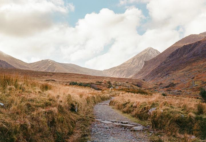A few from Ireland | Fuji GW690iii - Gold 200
