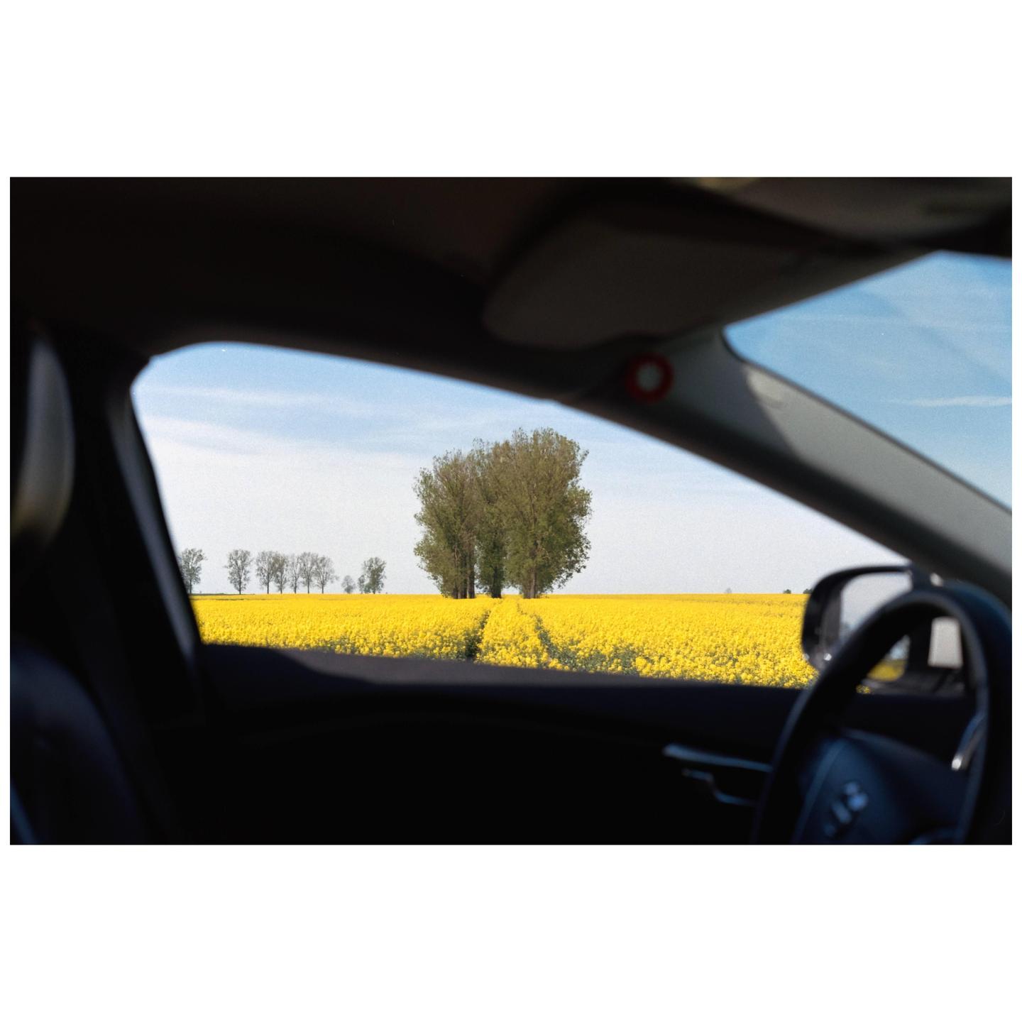 image 35813 by bstonn