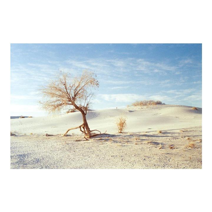 White Sand [Pentax MX | 40mm | Gold 200]