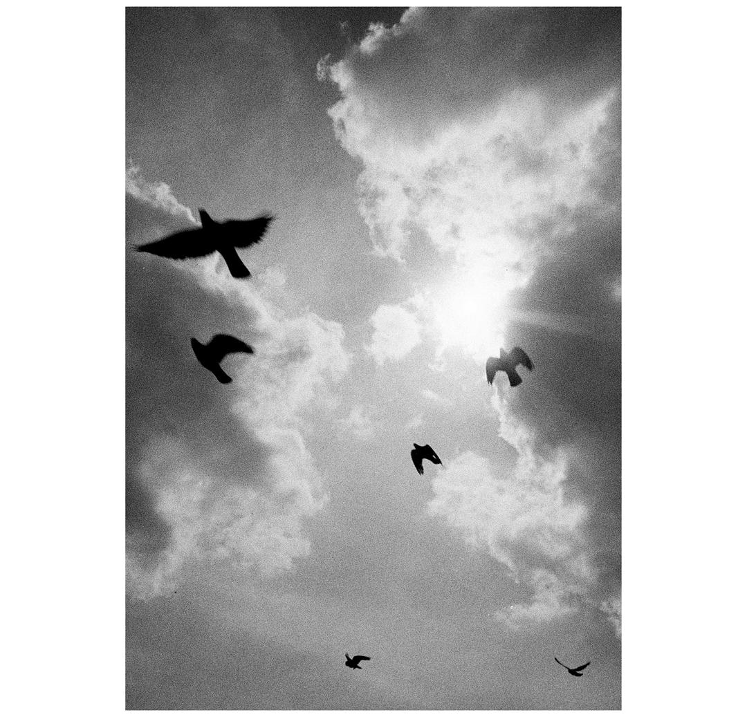 image 35831 by torkensilverpad