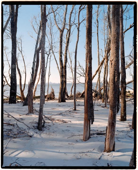 on the beach (mamiya rz67, 65mm f/4, kodak gold 200)