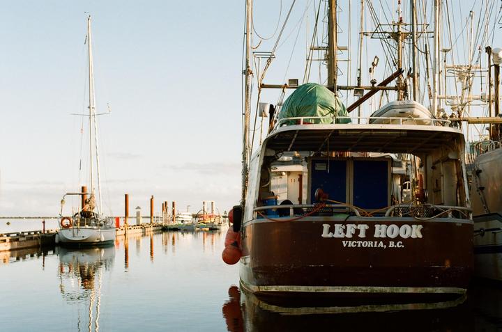 Favourites from my first few rolls. Any comments or advice is greatly appreciated as I'm still very new! (Nikon FE2 | Ultramax 400 & Fujifilm 200)