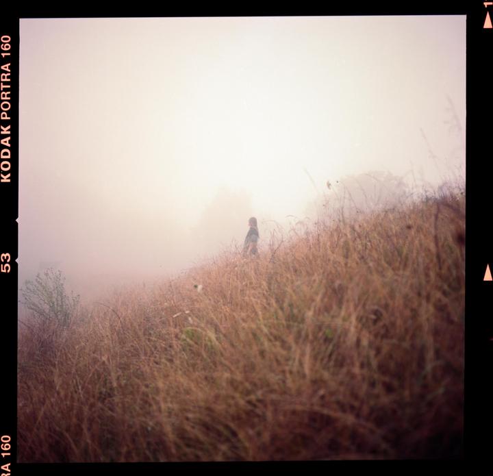 A person stands in a field of tall, dry grass on a hazy day.
