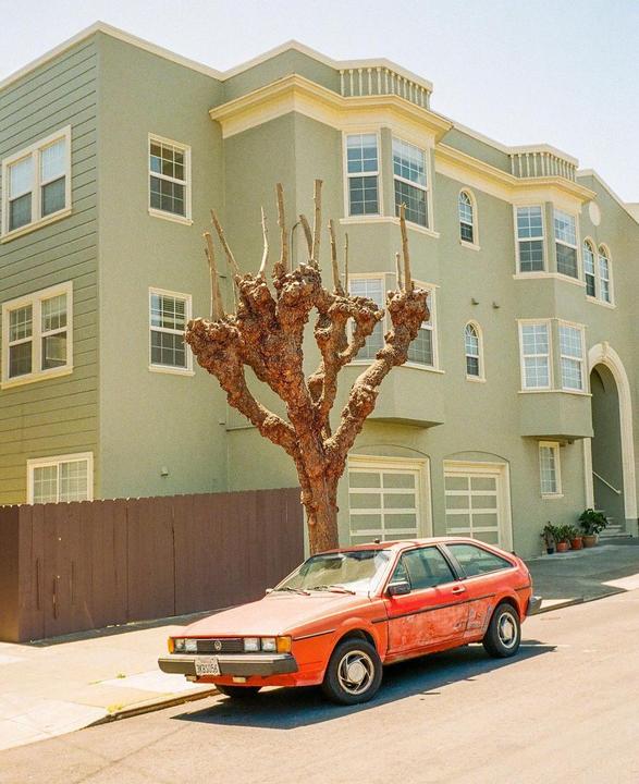 what kinda vw is this in sanny franny? [hexar, kodak gold 200]