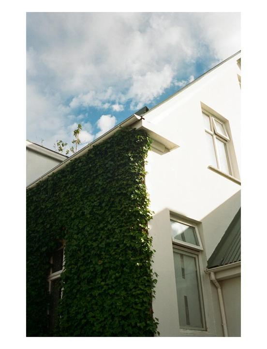 Olympus 35 SP | Portra 400