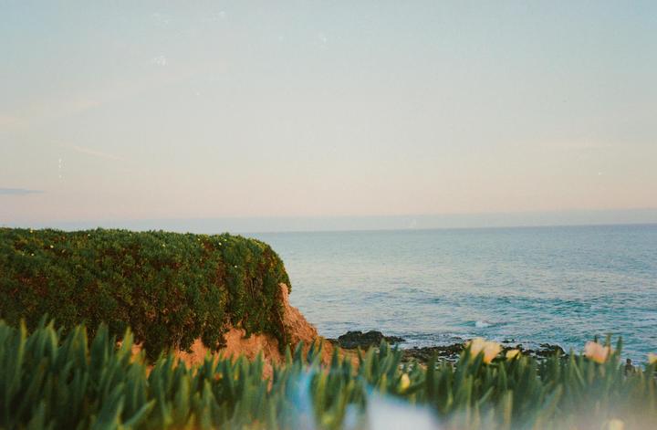 new to film n’ i’m happy to be here 👋🏽✨ [olympus trip 35, fixed 40mm f/2.8 olympus d. zuiko lens, kodak ultramax 400+ kodak gold 200 ]