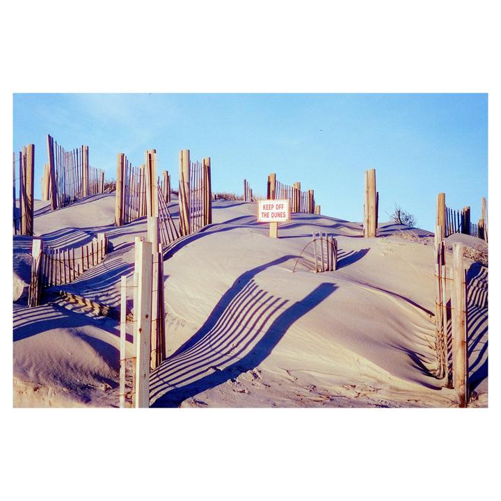 Keep off the dunes (Leica m5, Cinestill800t, 50mm Sonnar 1.5)
