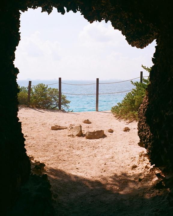Nature’s Window - Kodak Ektar100 - Leica MP - 35mm Summilux v1