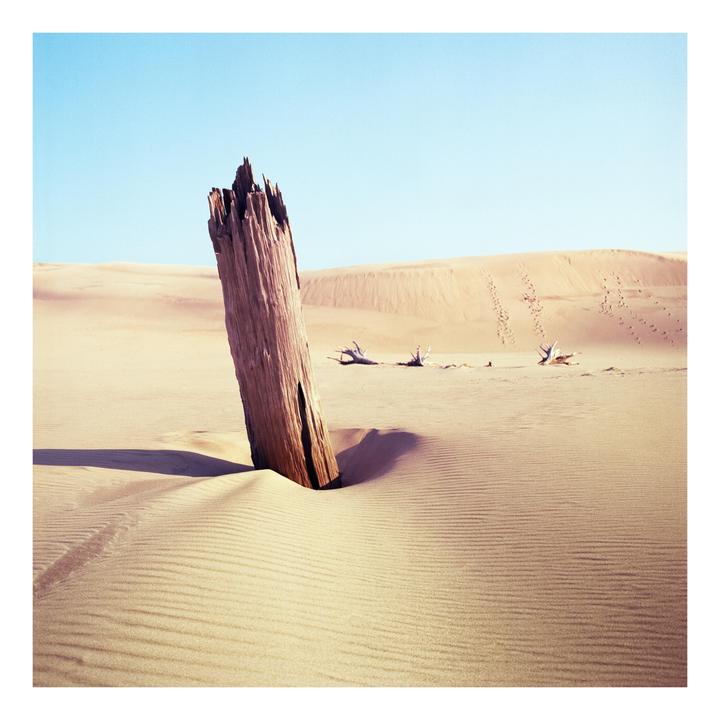 Bronica SQ-Ai; 50mm Zenzanon-S; Ektar 100