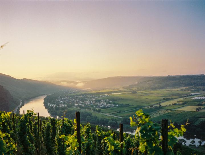 A river winds through a valley with a village and vineyards under a hazy sky at sunset.