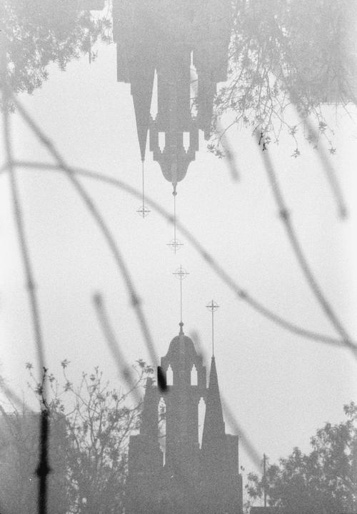 A double exposure shows a church steeple and its inverted reflection, framed by tree branches.