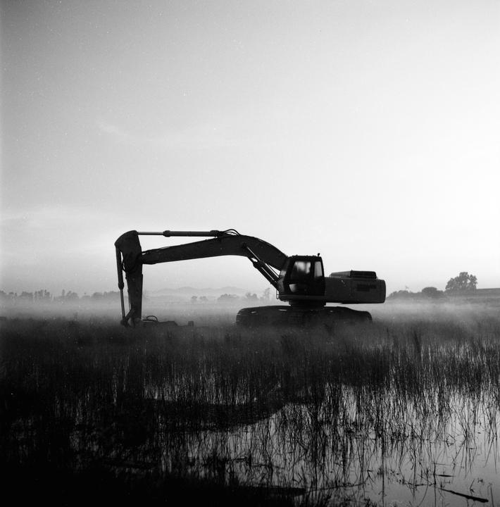 An excavator is parked in a field of tall grass and water, with a hazy sky in the background.
