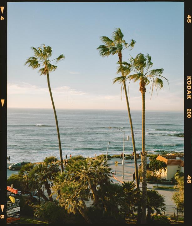 California Dreaming · Mamiya 7ii 80MM · Kodak Gold 200