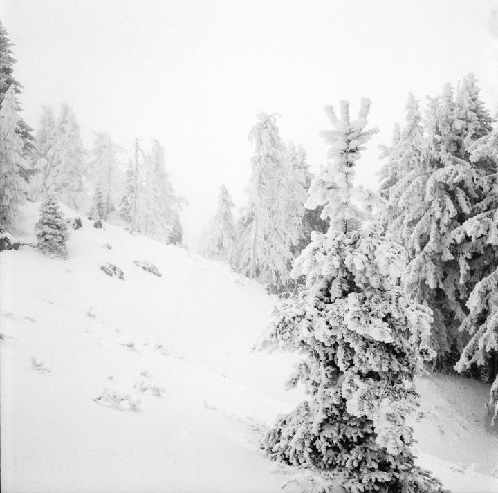 A snow-covered forest is visible on a hillside with a hazy sky.