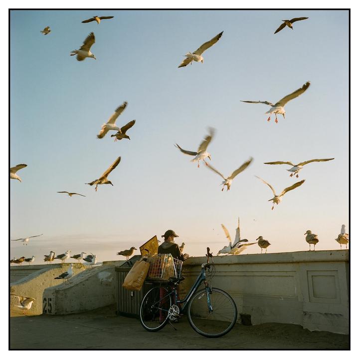 A person on a boardwalk is surrounded by many seagulls flying and standing.