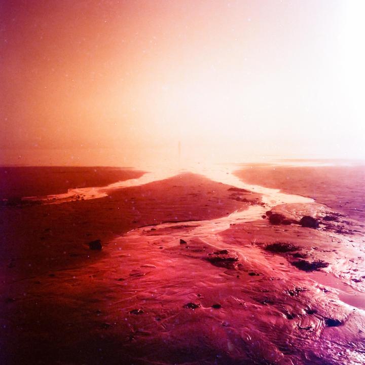 Life on Mars / Rolleiflex T // Lomo Redscale @ 200