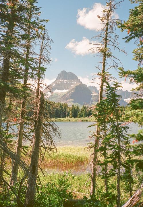 Glacial Summers | Olympus MJU ii | Ektar 100